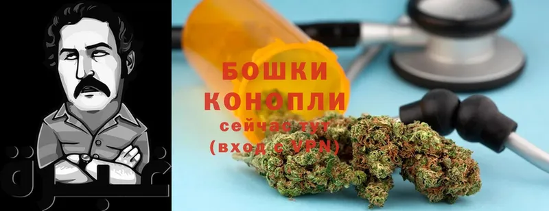 Конопля Bruce Banner  Вихоревка 